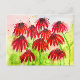 Rode Echinacea Bloesems Waterverf Botanische Kunst Feestdagenkaart