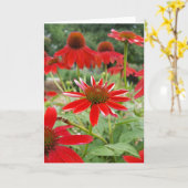 Rode Echinacea Notecards (Spatie binnen) Kaart (Gele Bloem)