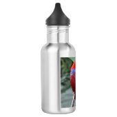 Rode eclectische papegaai waterfles  (Links)