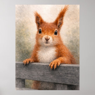 Rode Eekhoorn Bos Dieren in het wild Poster