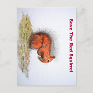 Rode eekhoorn briefkaart