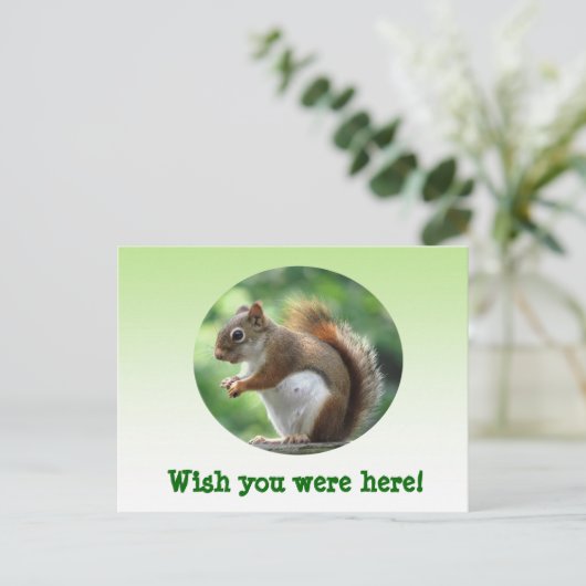 Rode eekhoorn briefkaart (Staand voorkant)
