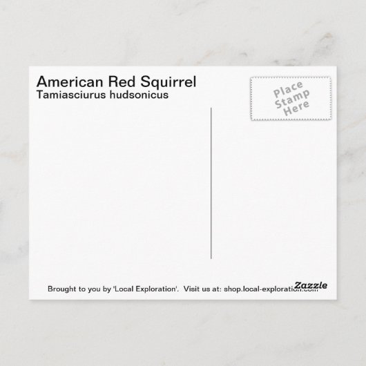 Rode eekhoorn briefkaart (Achterkant)