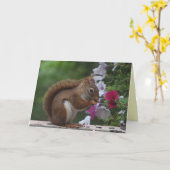 Rode eekhoorn denkt aan je kaart (Gele Bloem)