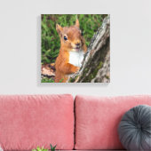Rode eekhoorn Dierenprint Canvas Afdruk (Insitu (Woonkamer))