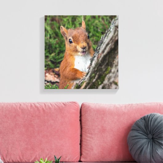 Rode eekhoorn Dierenprint Canvas Afdruk (Insitu (Woonkamer))