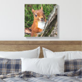 Rode eekhoorn Dierenprint Canvas Afdruk (Insitu (Slaapkamer))