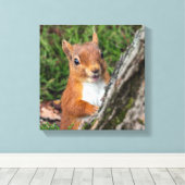Rode eekhoorn Dierenprint Canvas Afdruk (Insitu (Houten vloer))