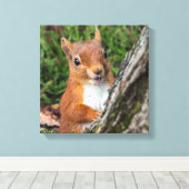 Rode eekhoorn Dierenprint Canvas Afdruk (Insitu (Houten vloer))