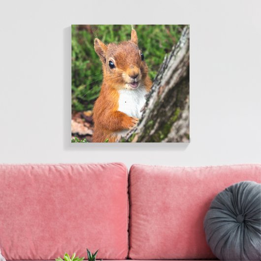 Rode eekhoorn Dierenprint Canvas Afdruk (Insitu (Woonkamer))