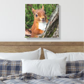 Rode eekhoorn Dierenprint Canvas Afdruk (Insitu (Slaapkamer))