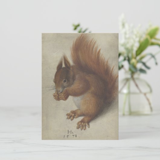 Rode eekhoorn (door Hans Hoffmann) (Staand voorkant)