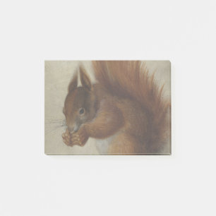 Rode eekhoorn (door Hans Hoffmann) Post-it® Notes