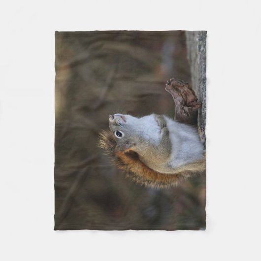 Rode eekhoorn fleece deken (Voorkant)