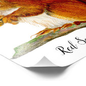 Rode eekhoorn geplakt in Waterverf Wildlife Art Foto Afdruk (Hoek)