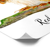 Rode eekhoorn geplakt in Waterverf Wildlife Art Poster (Hoek)