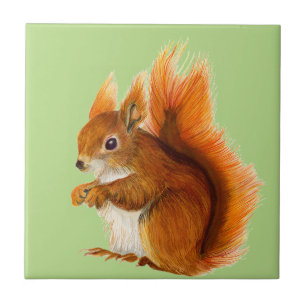 Rode eekhoorn geplakt in Waterverf Wildlife Art Tegeltje