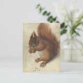 Rode eekhoorn | Hans Hoffmann Briefkaart (Staand voorkant)