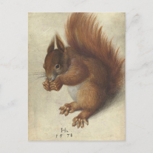 Rode eekhoorn | Hans Hoffmann Briefkaart (Voorkant)