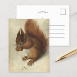 Rode eekhoorn | Hans Hoffmann Briefkaart<br><div class="desc">Red Squirrel (1578) door de Duitse kunstenaar Hans Hoffmann. Het originele kunstwerk is waterverf en gouache over sporen van grafiet op vellum. Hoffmann, gespecialiseerd in onderzoek naar de natuur, waarvan er vele uit het werk van Albrecht Dürer zijn overgenomen of op het werk van Albrecht Dürer zijn gebaseerd. Gebruik de...</div>