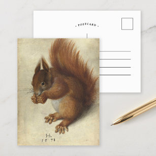 Rode eekhoorn   Hans Hoffmann Briefkaart