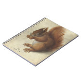 Rode eekhoorn | Hans Hoffmann Notitieboek (Linkerzijde)