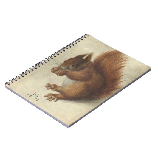 Rode eekhoorn | Hans Hoffmann Notitieboek (Linkerzijde)