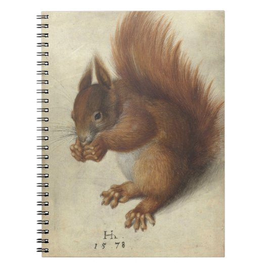 Rode eekhoorn | Hans Hoffmann Notitieboek (Voorkant)