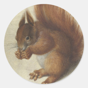 Rode eekhoorn   Hans Hoffmann Ronde Sticker