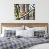 Rode eekhoorn in Bos Canvas Afdruk (Insitu (Slaapkamer))
