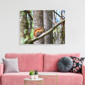 Rode eekhoorn in Bos Canvas Afdruk (Insitu (Woonkamer))