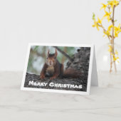 Rode eekhoorn in de boom kaart (Gele Bloem)