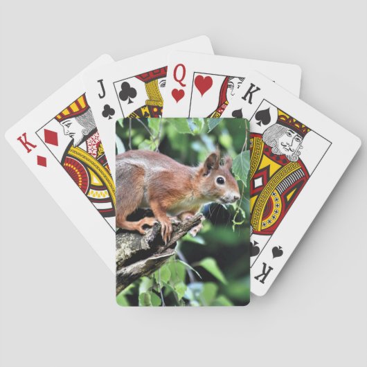 Rode eekhoorn in de boom pokerkaarten (Achterkant)