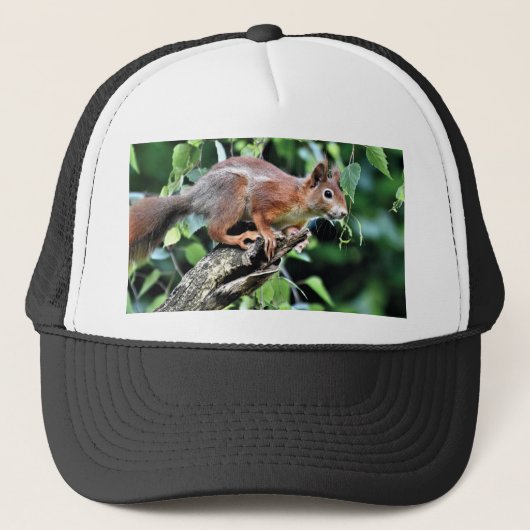 Rode eekhoorn in de boom trucker pet (Voorkant)