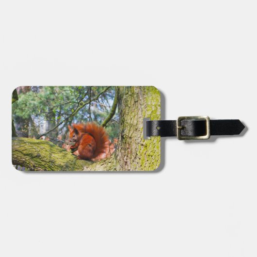 Rode eekhoorn in Kopenhagen, Denemarken Bagagelabel (Voorkant horizontaal)