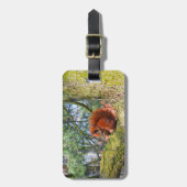 Rode eekhoorn in Kopenhagen, Denemarken Bagagelabel (Voorkant verticaal)