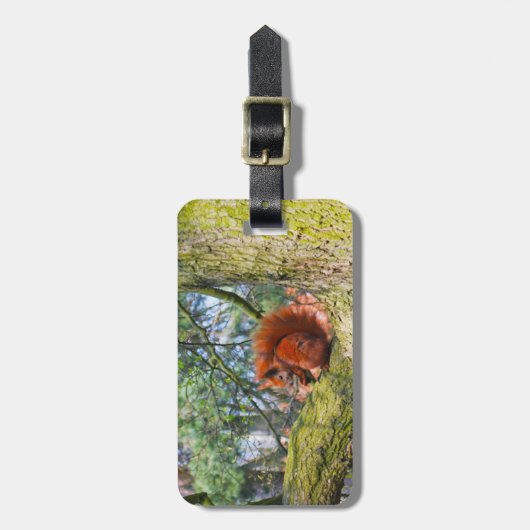 Rode eekhoorn in Kopenhagen, Denemarken Bagagelabel (Voorkant verticaal)