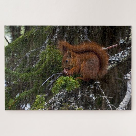 Rode eekhoorn Jigzaag Puzzle Legpuzzel (Horizontaal)