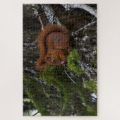 Rode eekhoorn Jigzaag Puzzle Legpuzzel (Verticaal)