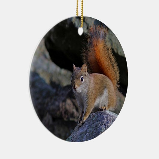 Rode eekhoorn keramisch ornament (Rechts)