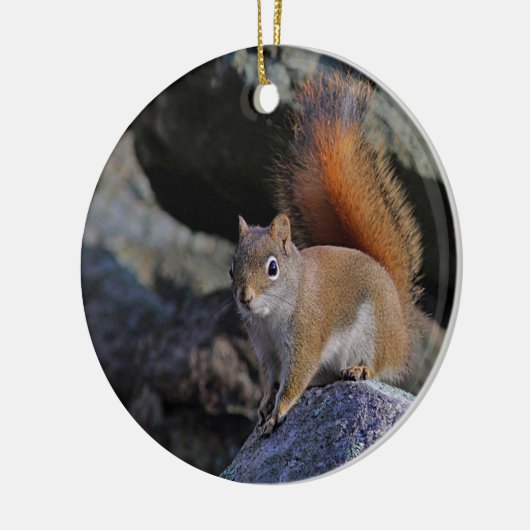 Rode eekhoorn keramisch ornament (Links)