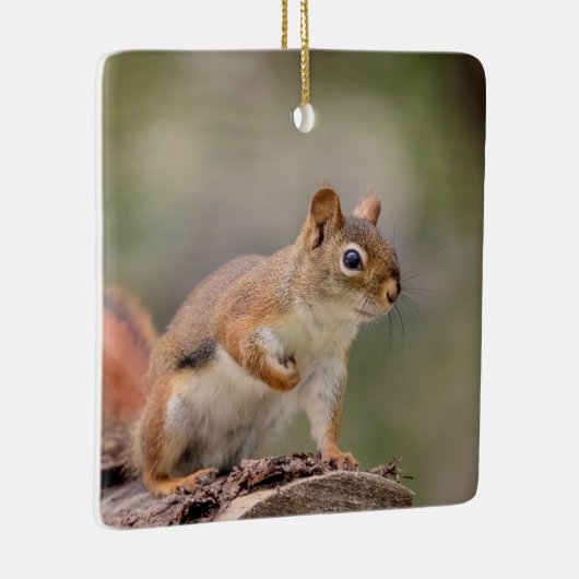 Rode eekhoorn keramisch ornament (Rechts)