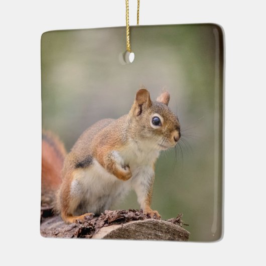 Rode eekhoorn keramisch ornament (Links)