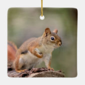 Rode eekhoorn keramisch ornament (Achterkant)