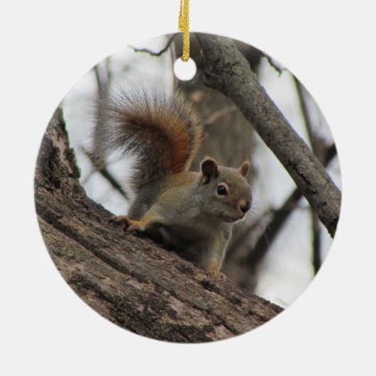 Rode eekhoorn keramisch ornament (Achterkant)