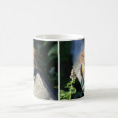 Rode eekhoorn koffiemok (Center)