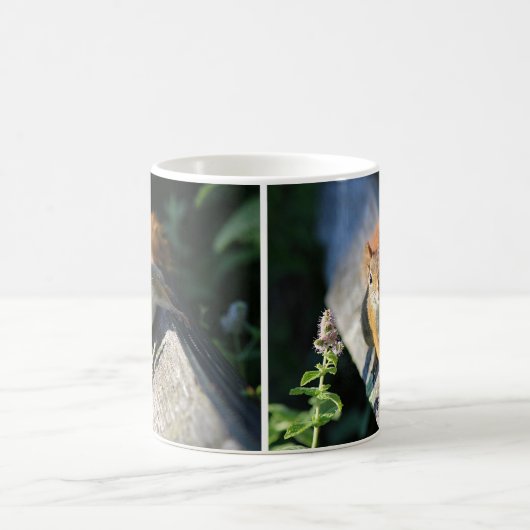 Rode eekhoorn koffiemok (Center)