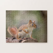 Rode eekhoorn legpuzzel (Horizontaal)