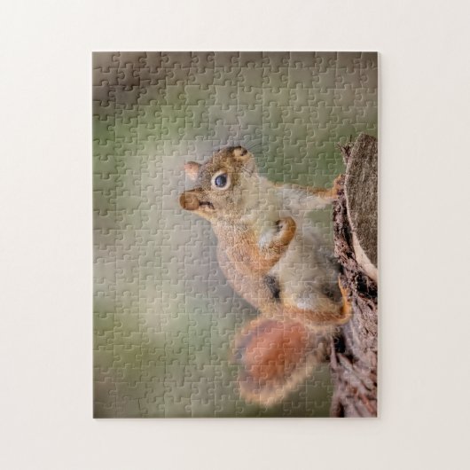 Rode eekhoorn legpuzzel (Verticaal)