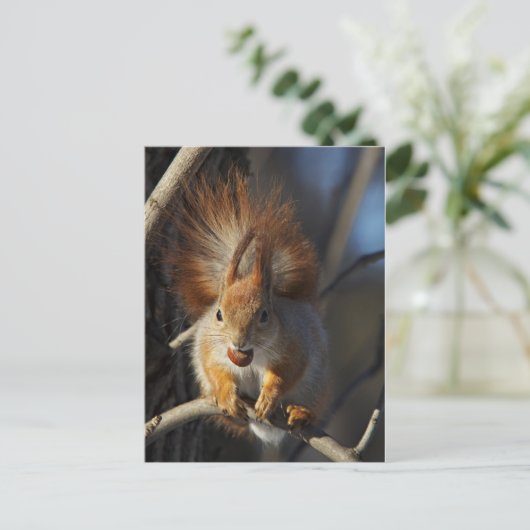Rode eekhoorn met een hazelnoot briefkaart (Staand voorkant)
